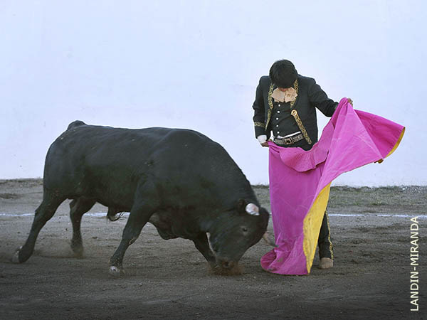 Ver�nicas de Gerardo Adame