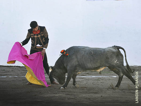 El Chihuahua se abre de capa
