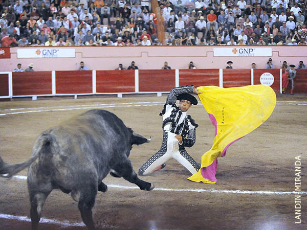 El debut de Leonardo Ibarra
