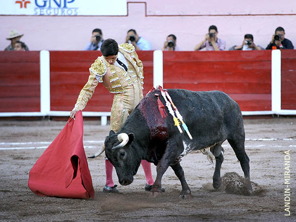 Dimension� sentidas series