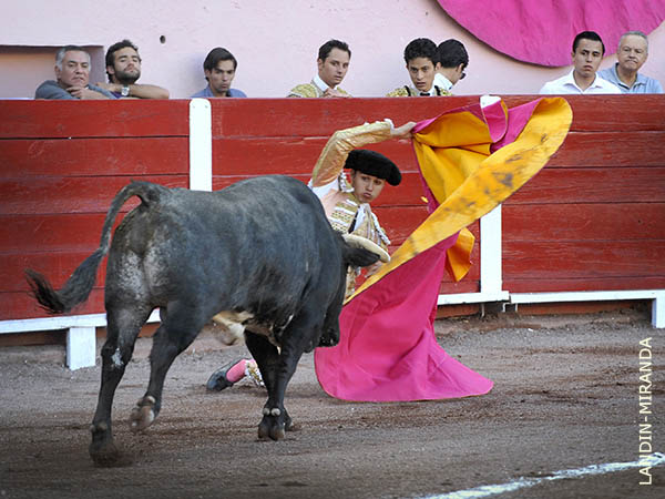 Larga de hinojos de Javier Castro