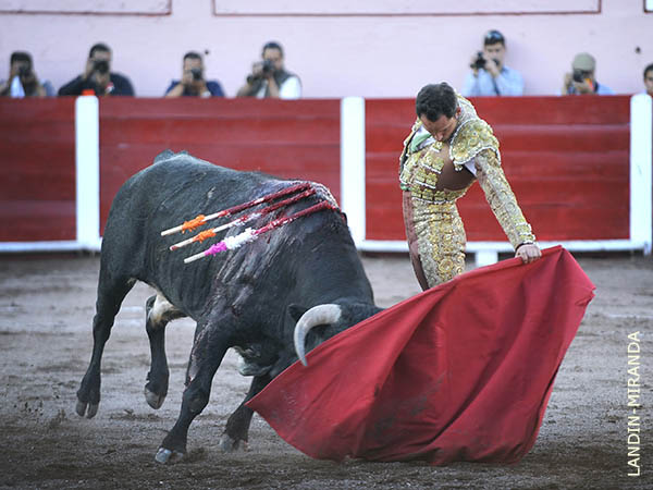 Los mejores momentos, al natural