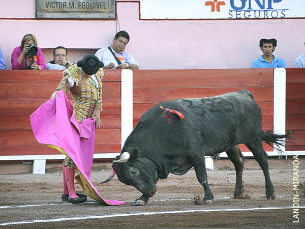 Ver�nicas de Andr�s Su�rez del Real