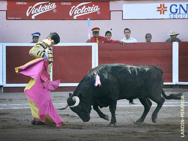Chicuelinas de plata