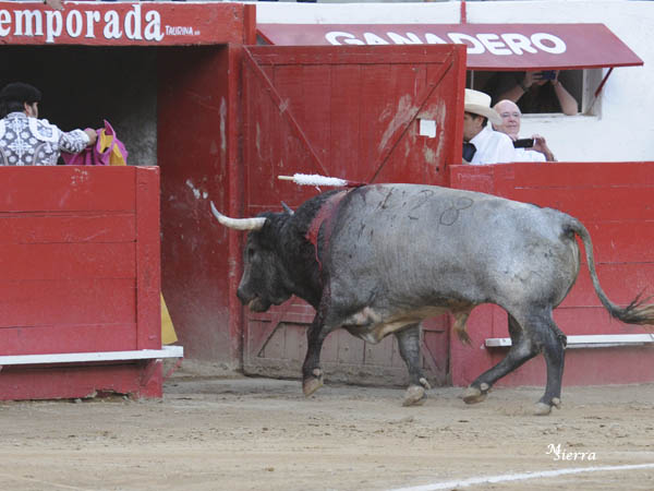 De nuevo a los potreros