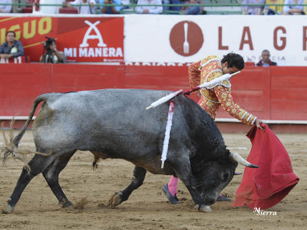 Entrega de toro y torero
