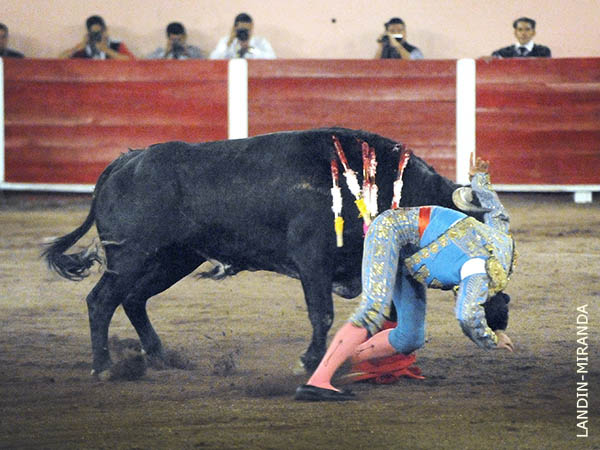 Prendido de la manga