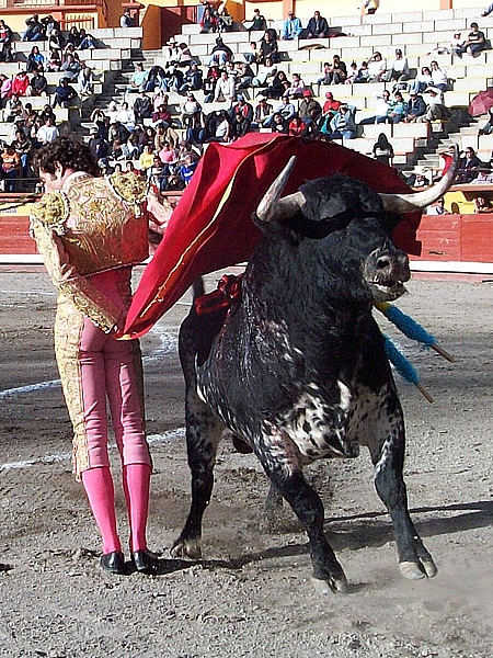 Estoico el ib�rico