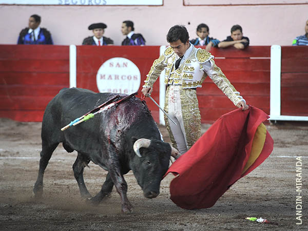 Caracter�sticas de arte