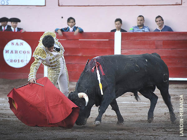 Se decant� por el derecho