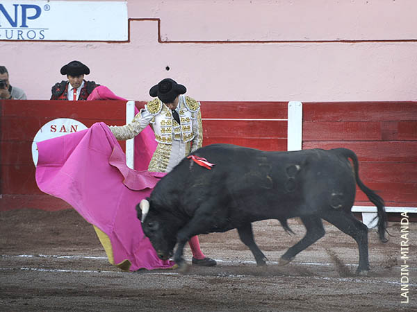 H�ctor Gabriel, por ver�nicas