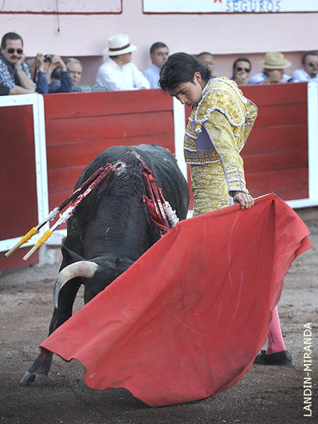 Significativos avances