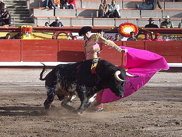 Quitazo de Roberto Gal�n