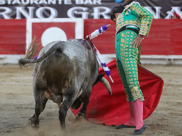 Llev�ndole muy toreado