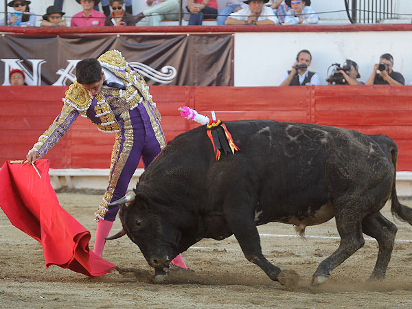 Por sobre sus toros