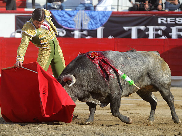 Pulcritud y torer�a