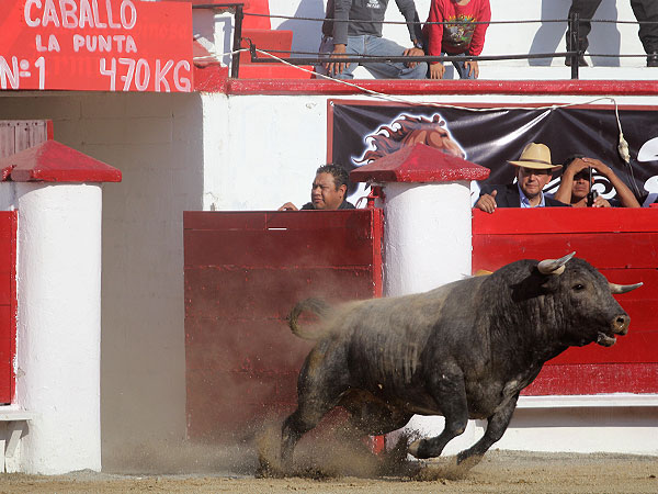 En honor del amigo Alberto