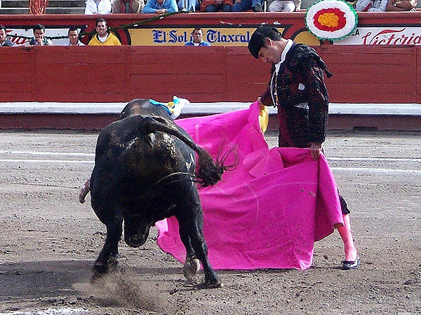 A la ver�nica Alfredo Guti�rrez