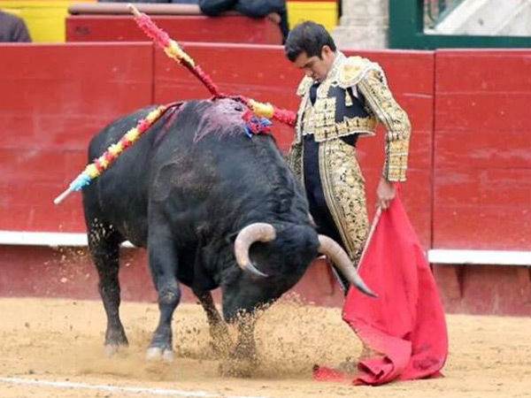 Adorno con torer�a