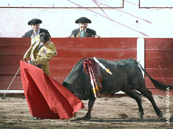 Metido en la canasta