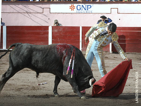 Jaleado en los naturales