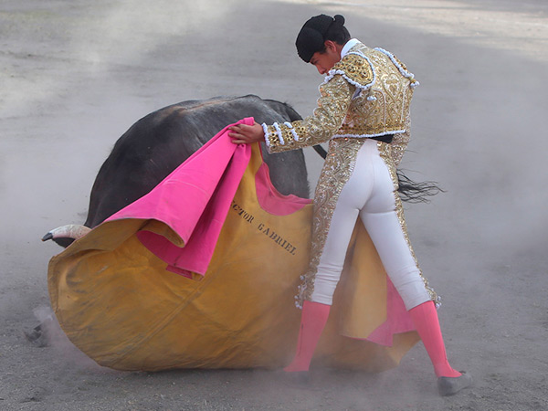 Una ver�nica de H�ctor Gabriel