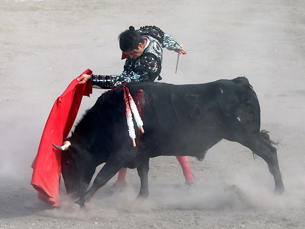 Cl�sico pase de pecho