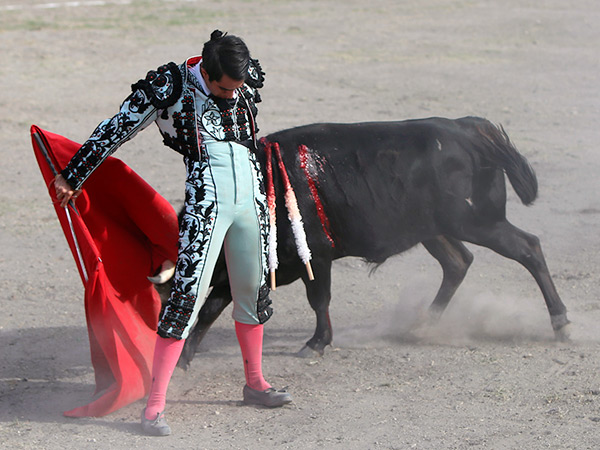 Variedad en la faena