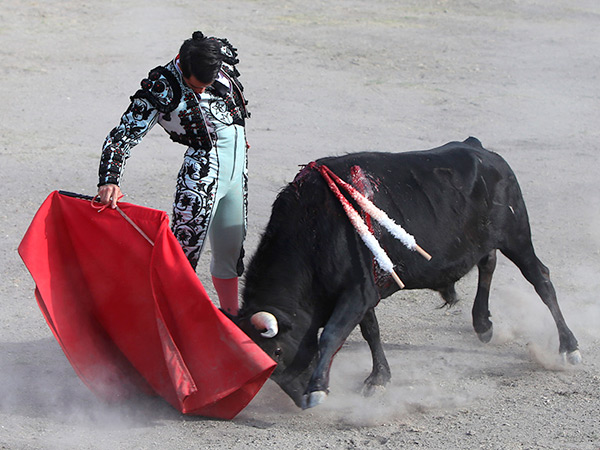 Manolo Gaona, buen gusto