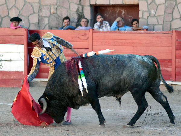 Meti�ndolo en la muleta