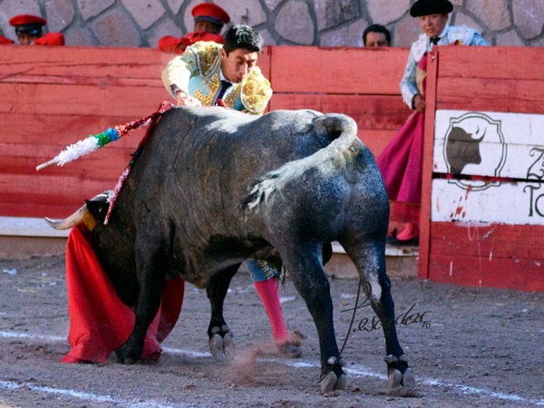 Volc�ndose sobre el morillo