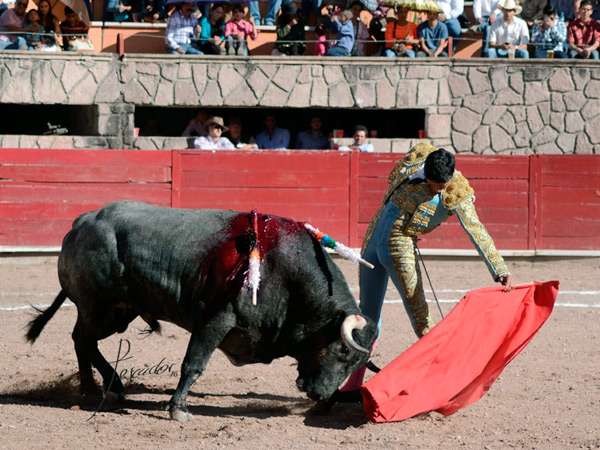 Magn�fico natural del tlaxcalteca