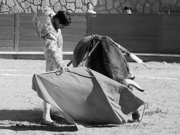 En los primeros compases