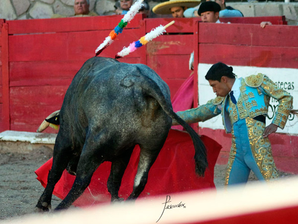 Comienzo de faena de rodillas