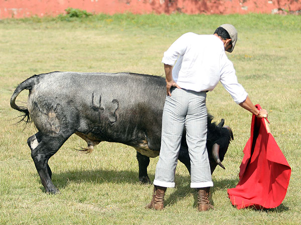 El temple de Bol�var