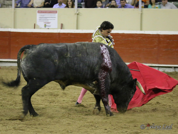 Un toro con mucha caja