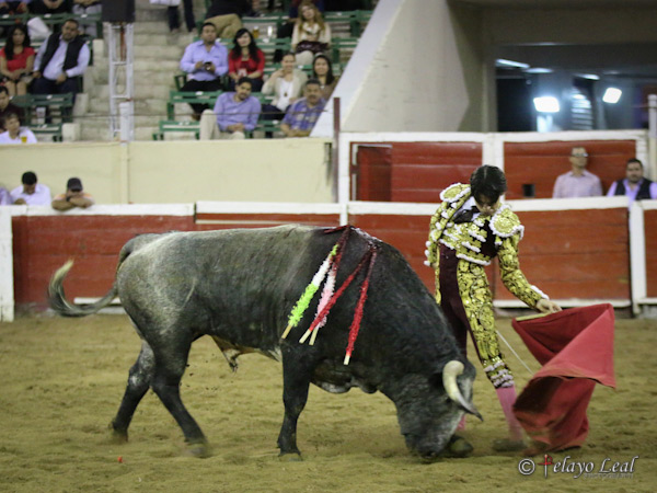 El inicio de un afarolado