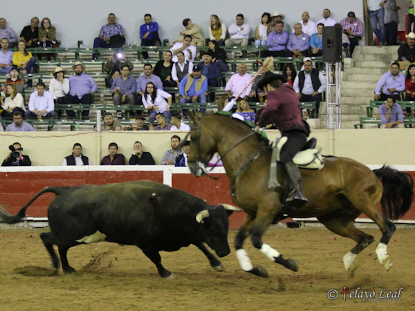 Una banderilla en los medios