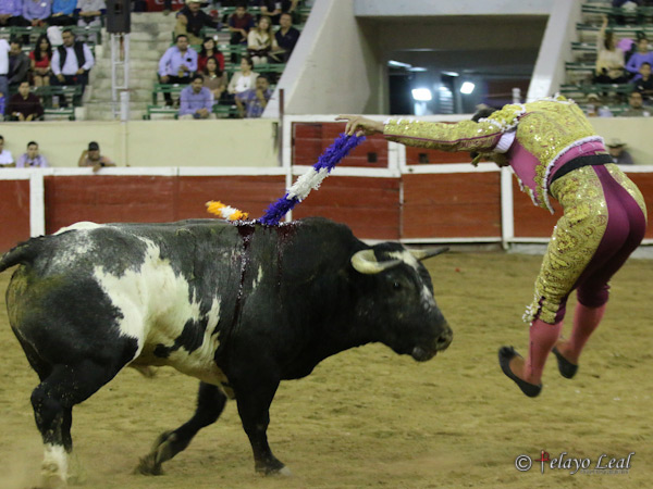 El vuelo del norte�o