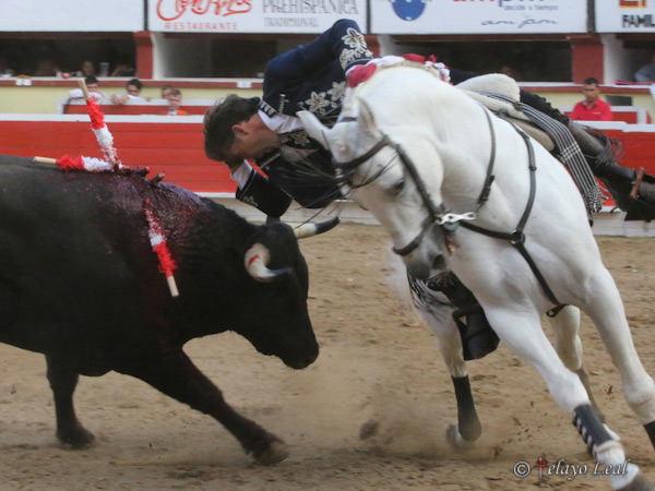 Los adornos del navarro