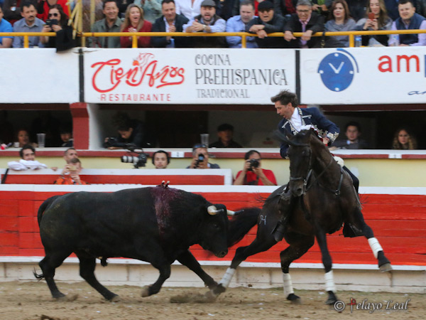 Galopando de costado