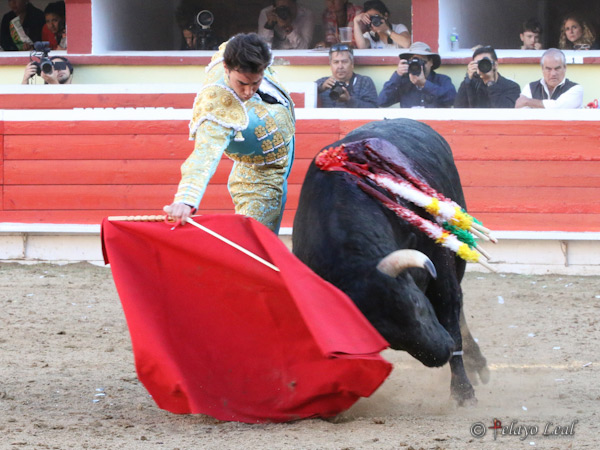 Ce�imiento y verticalidad