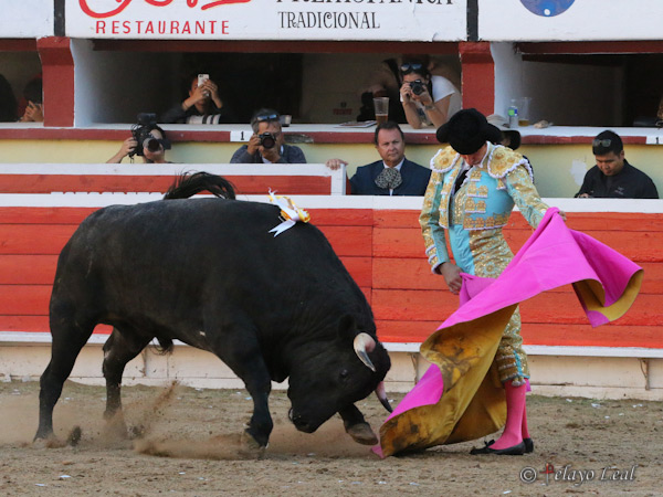 Un buen concepto del toreo