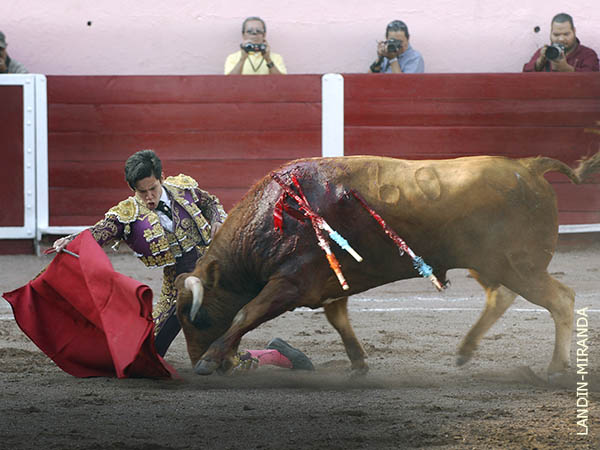 Por el derecho, de hinojos
