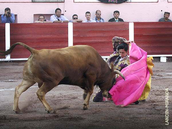 El recibo de Juan Padilla