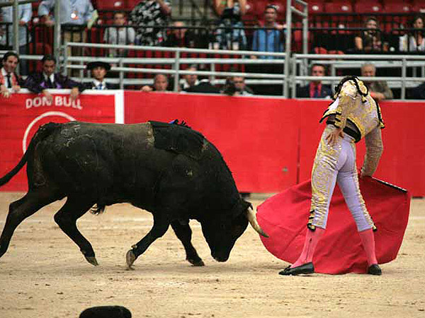 Embarcando la embestida