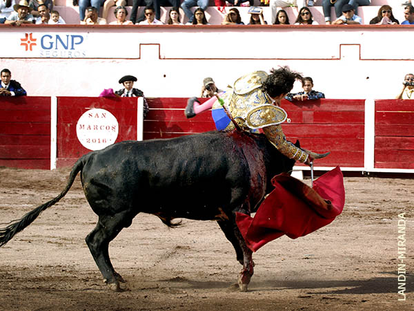 Se lo ech� a los lomos