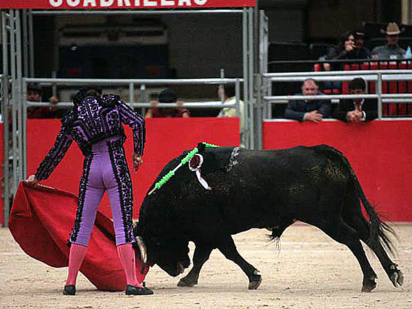 Un artista consumado