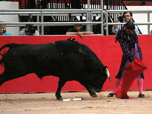 Preparando el de la casa