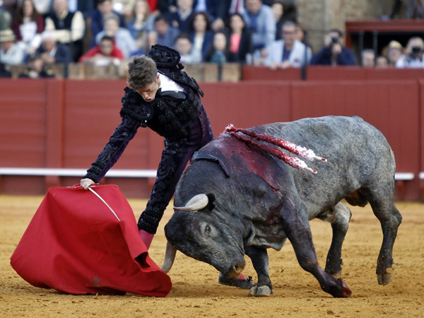 El toro hac�a 